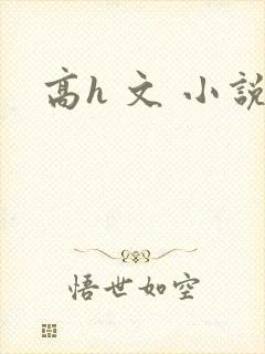 高h 文 小说