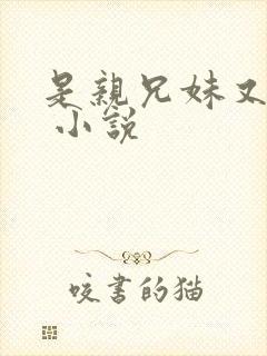 是亲兄妹又怎样 小说