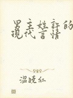 男主姓许的小说现代言情