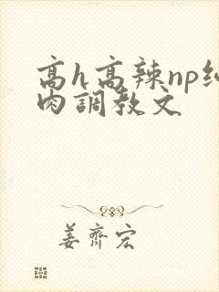 高h高辣np纯肉调教文