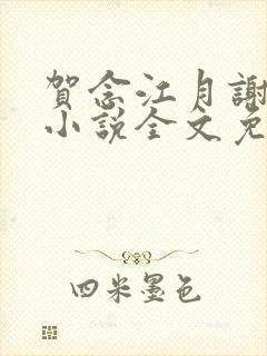 贺念江月谢泊年小说全文免费阅读笔趣阁