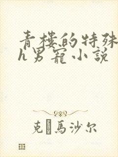 青楼的特殊调教h男宠小说