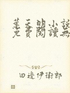 叶天明小说全文免费阅读无弹窗最新章节封面