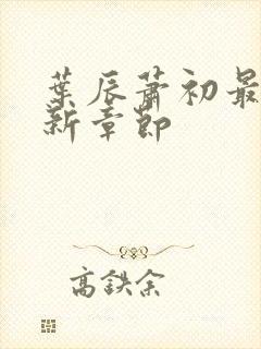 叶辰萧初最新更新章节