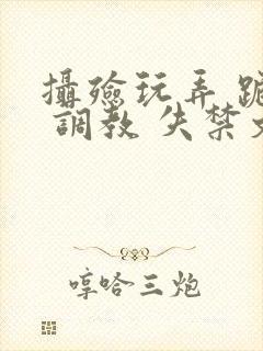 摄殓玩弄 跪趴 调教 失禁文