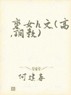 变女h文(高h,调教)