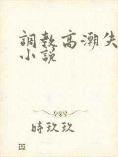 调教高潮失禁h小说