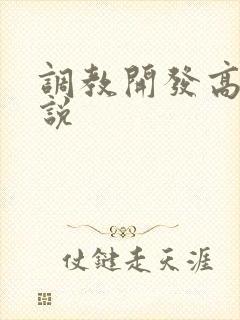 调教开发高h小说