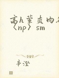 高h荤爽肉欲文〈np〉sm