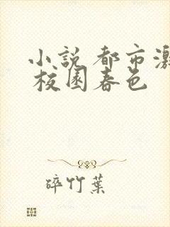 小说 都市激情 校园春色封面