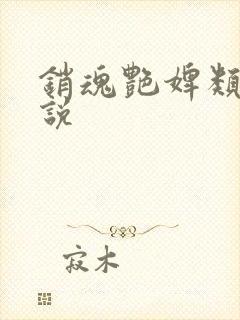 销魂艳婢类似小说封面