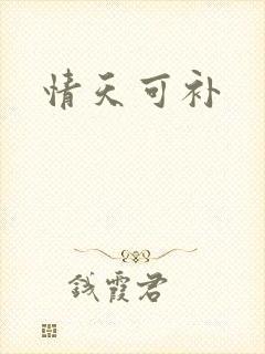 情天可补