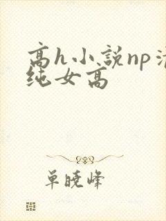 高h小说np清纯女高