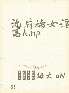 沈府娇女淫史(高h,np