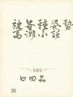 被各种姿势c到高潮小说