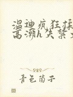 温迪疯狂揉肉蒂高潮h失禁文封面