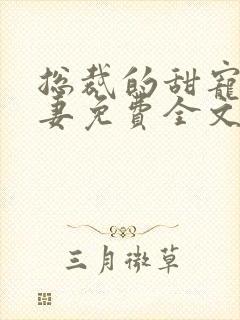 总裁的甜宠小娇妻免费全文封面