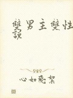 双男主双性受小说