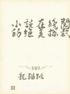 小说在线阅读我的绝美总裁老婆