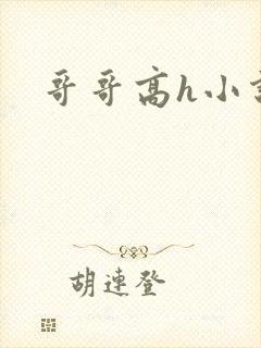 哥哥高h小说