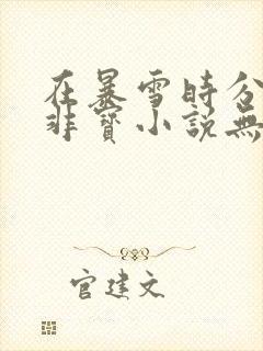 在暴雪时分墨宝非宝小说无删减版封面