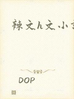 辣文h文小说