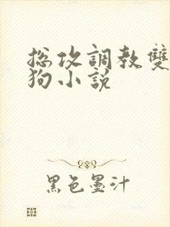 总攻调教双性母狗小说