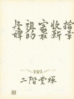 丹祖宗收拾小贱婢的最新章节小说下封面