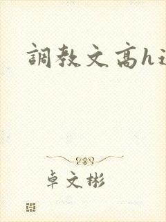 调教文高h道具封面