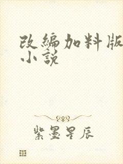 改编加料版同人小说封面