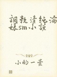 调教清纯沦为贱婊sm小说