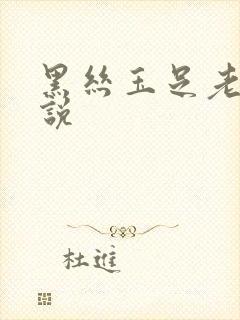 黑丝玉足老师小说封面