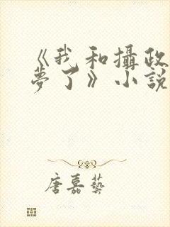 《我和摄政王共梦了》小说