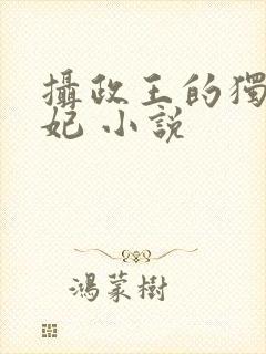 摄政王的独宠医妃 小说