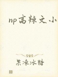 np高辣文小说封面