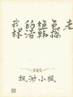 我的绝色老板娘林浩韩总