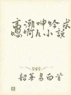 高潮呻吟求饶h嗯啊h小说