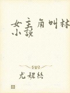 女主角叫林舒的小说