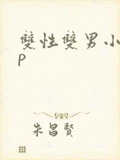 双性双男小说np封面