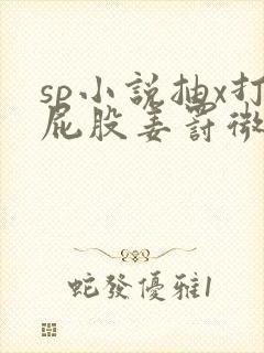 sp小说抽x打屁股姜罚微博