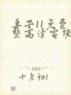 妻子11免费完整高清电视剧在线看