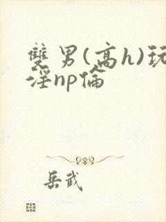 双男(高h)玩淫np伦