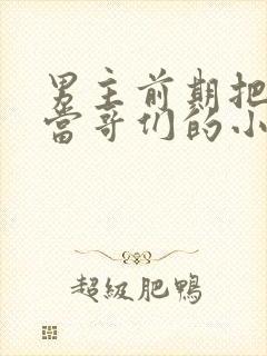 男主前期把女主当哥们的小说封面