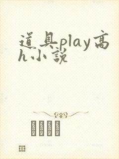 道具play高h小说