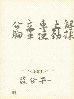 公交车上解开她胸罩使劲揉她奶小说