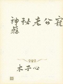 神秘老公宠妻上瘾