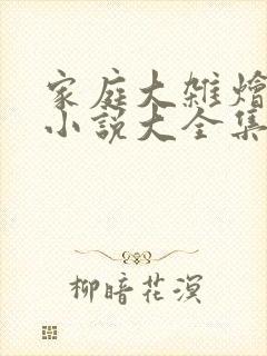 家庭大杂烩经典小说大全集