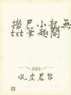 捞尸小龙无弹窗txt笔趣阁