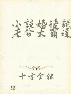 小说婚后试爱:老公太霸道最新章节封面