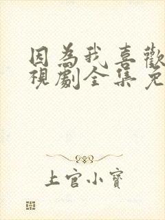 因为我喜欢你电视剧全集免费观看封面